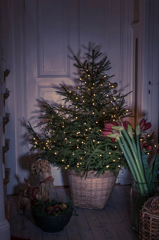 TREE Lyssnor til juletreet