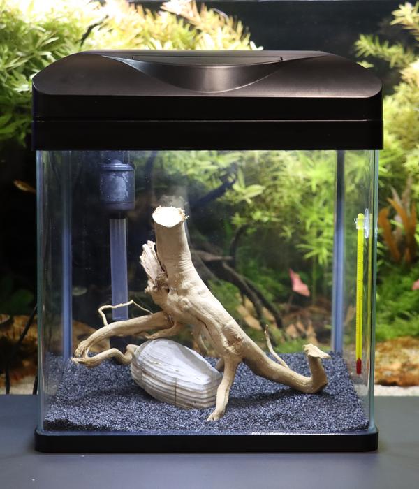 amtra Aquarium-Set Wave Laguna 30 LED, 18 l,