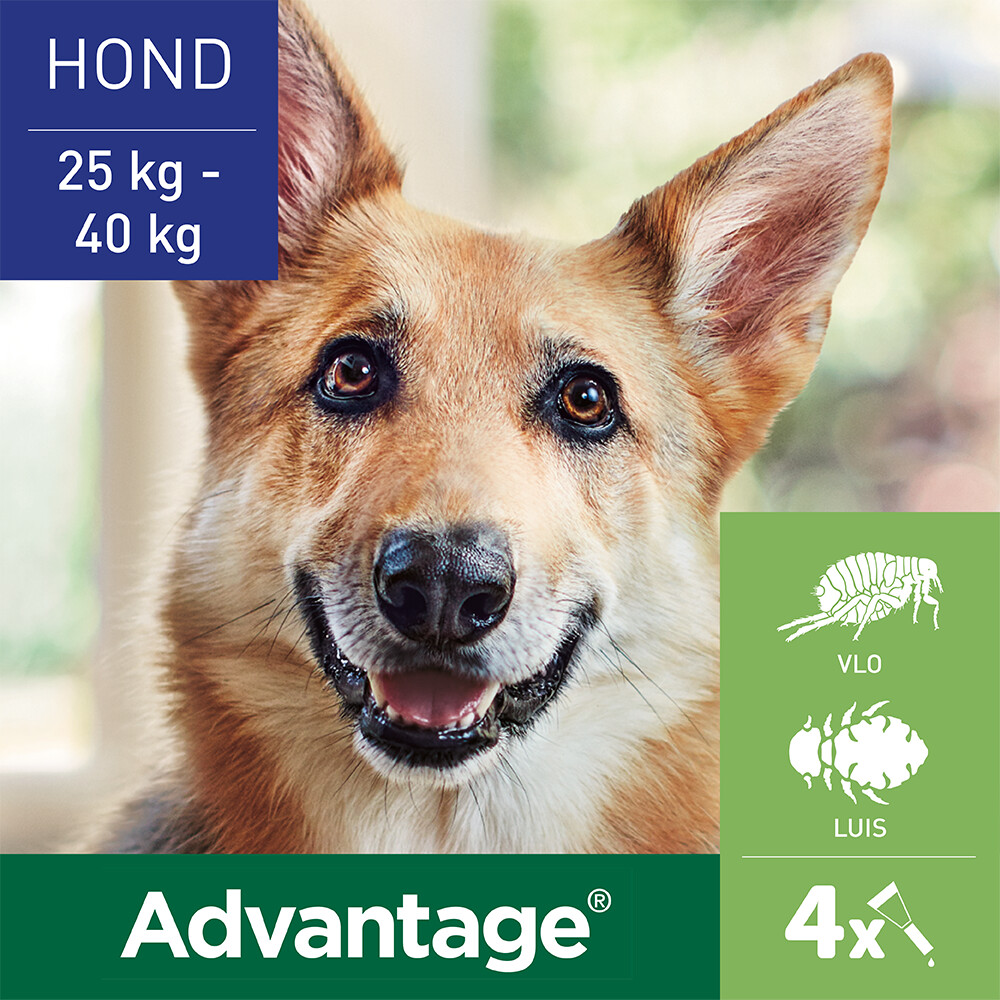 Advantage Anti Vlooiendruppels 400 Hond 25 - 40 kg4 pipetten