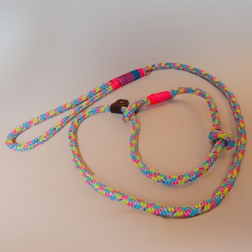 Guia de treinamento Lea&you Hey Jude multicolorida para cães de porte médio e grande.