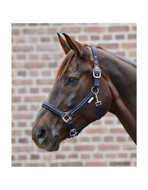 Waldhausen Halter Crystal Donkerblauw - Paardenhalster