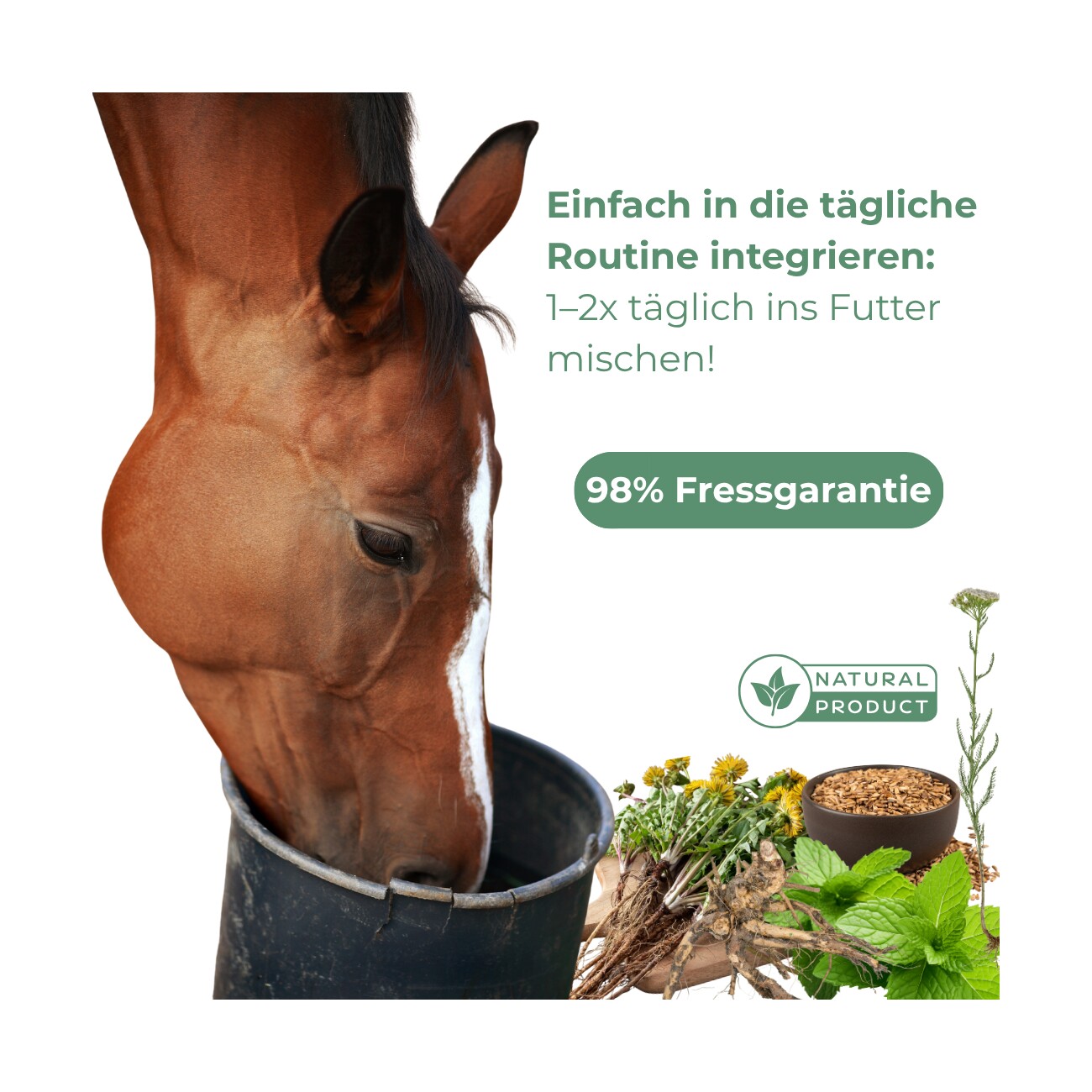 Hand aufs Pferd/Hund Leber Kräuter für Pferde – Sonnenaufgang 1kg