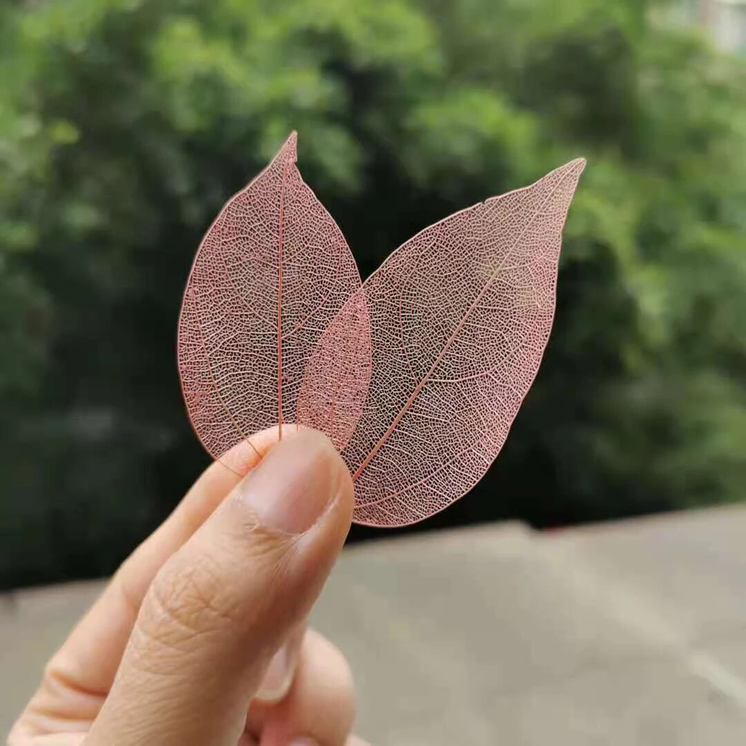(20er Set) Buche Blätter Tischdekoration Herbst Laub Deko - Braun