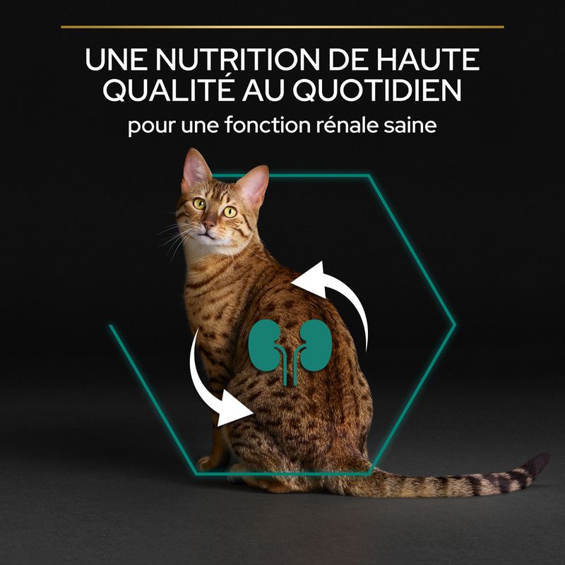 PRO PLAN Original Adult riche en poulet à prix discount sur bitiba.fr