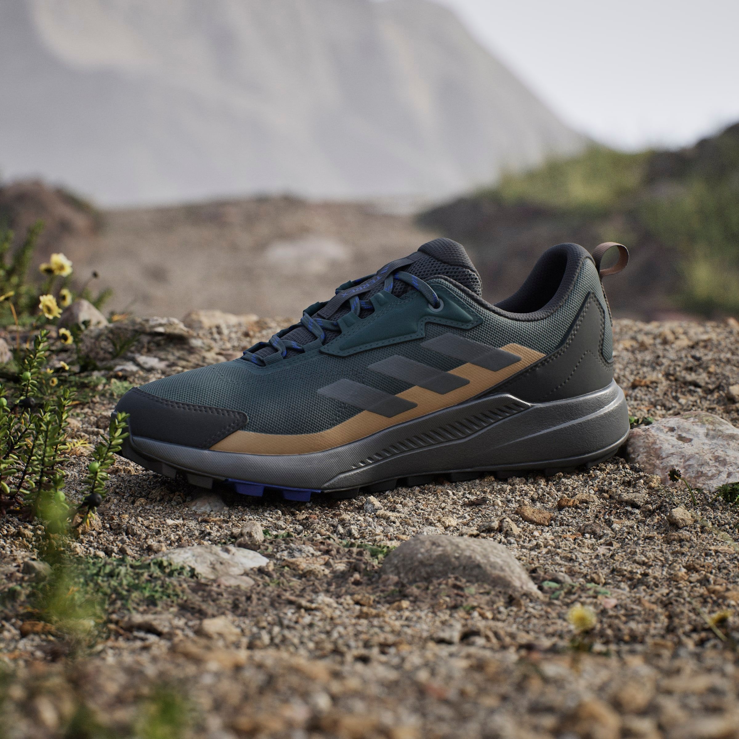 adidas TERREX Wanderschuh »TERREX ANYLANDER«