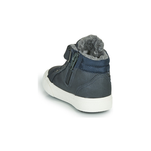 Kangaroos - KAVU I - Marine