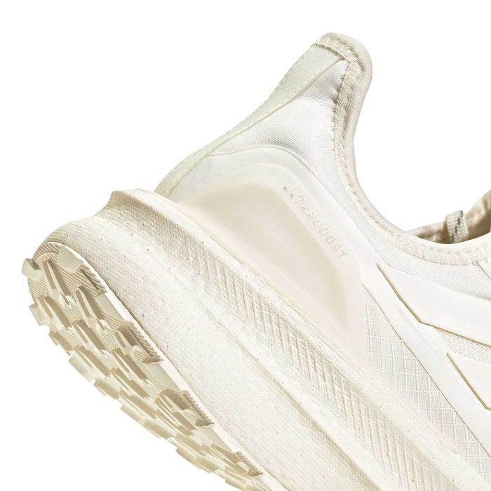 Ultraboost 5 GTX Women
