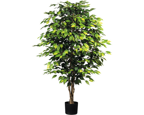Kunstplant Ficus Benjamin, hoogte: 150 cm, groen, bossig