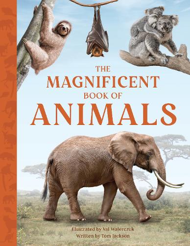 The Magnificent Book of Animals - The Magnificent Book of 7 (Hardback)