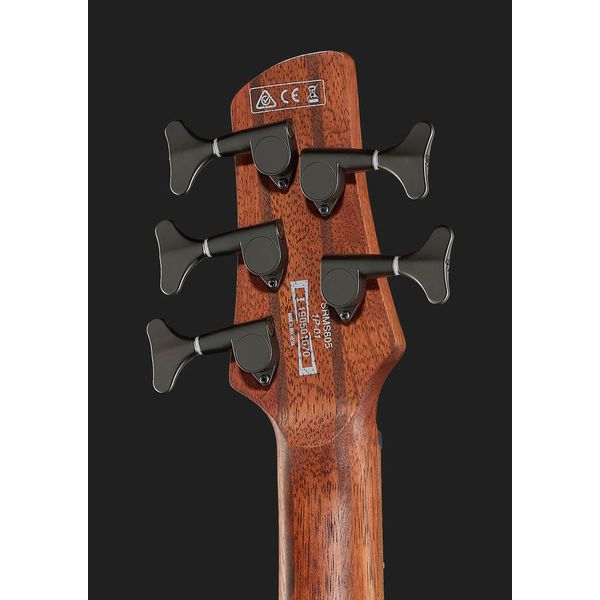 Ibanez SRMS805-DTW Workshop