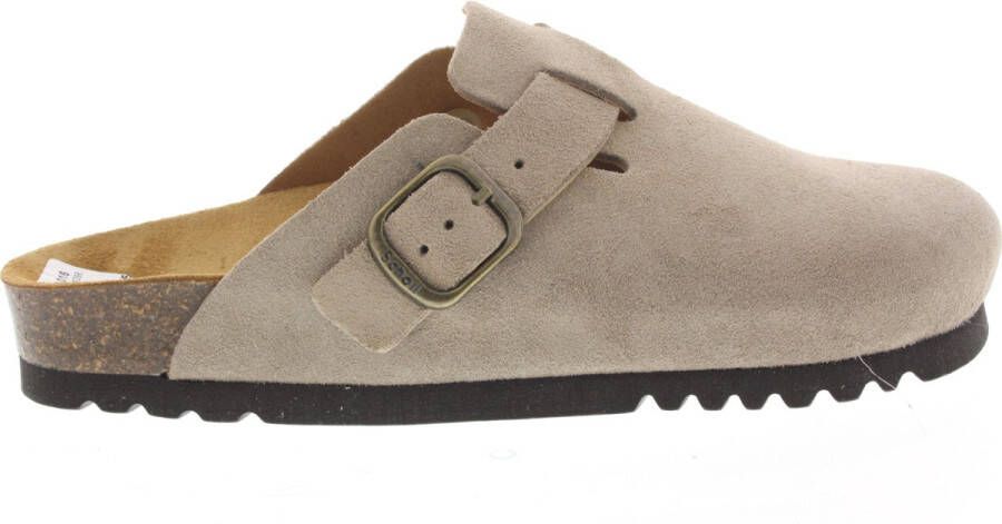 Scholl Klomp Women Fae Suede Sp Dark Beige