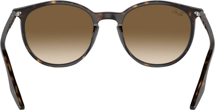 Ray-Ban RB2204 Havana