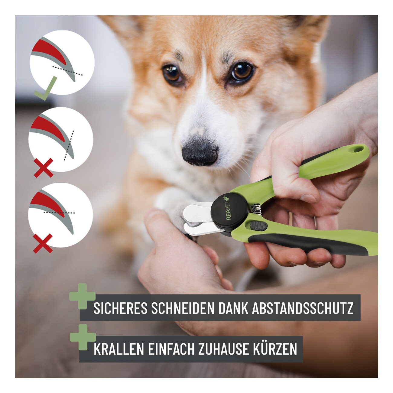 REAVET Krallenzange