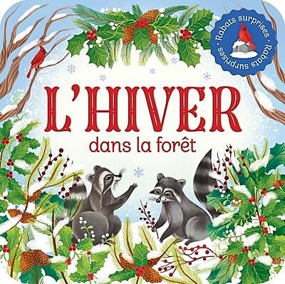 RABATS SURPRISES L'HIVER DANS LA FORET