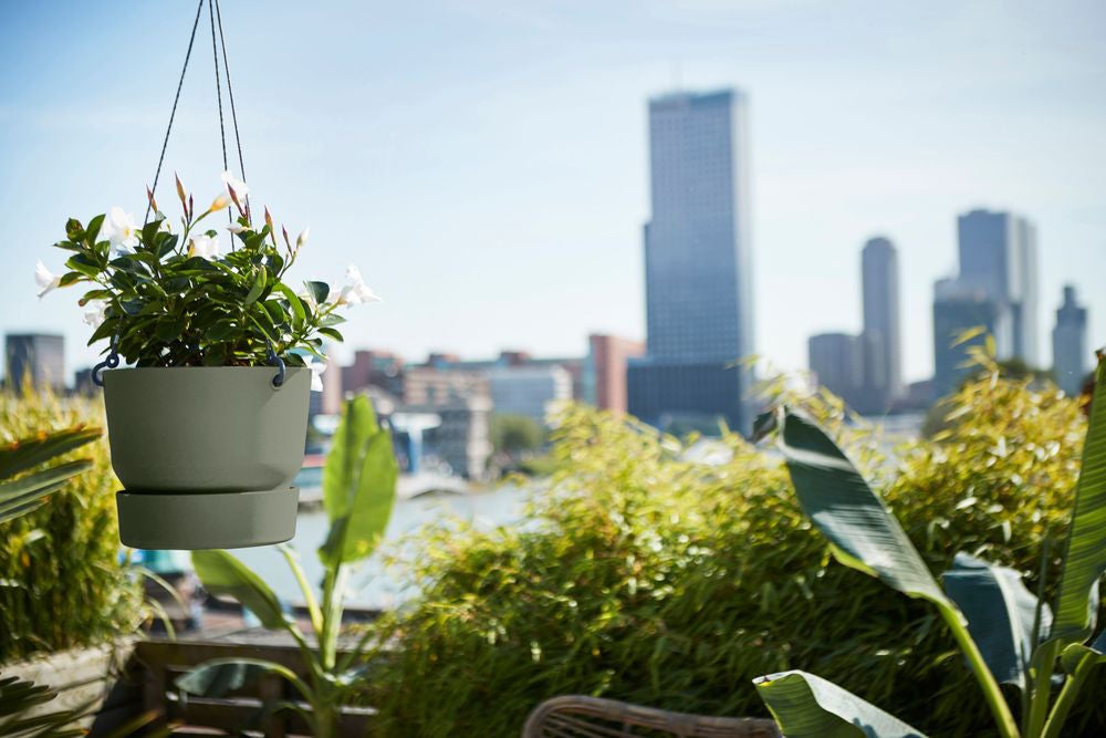 Elho hangpot Greenville groen D 23,5 H 20,5 cm
