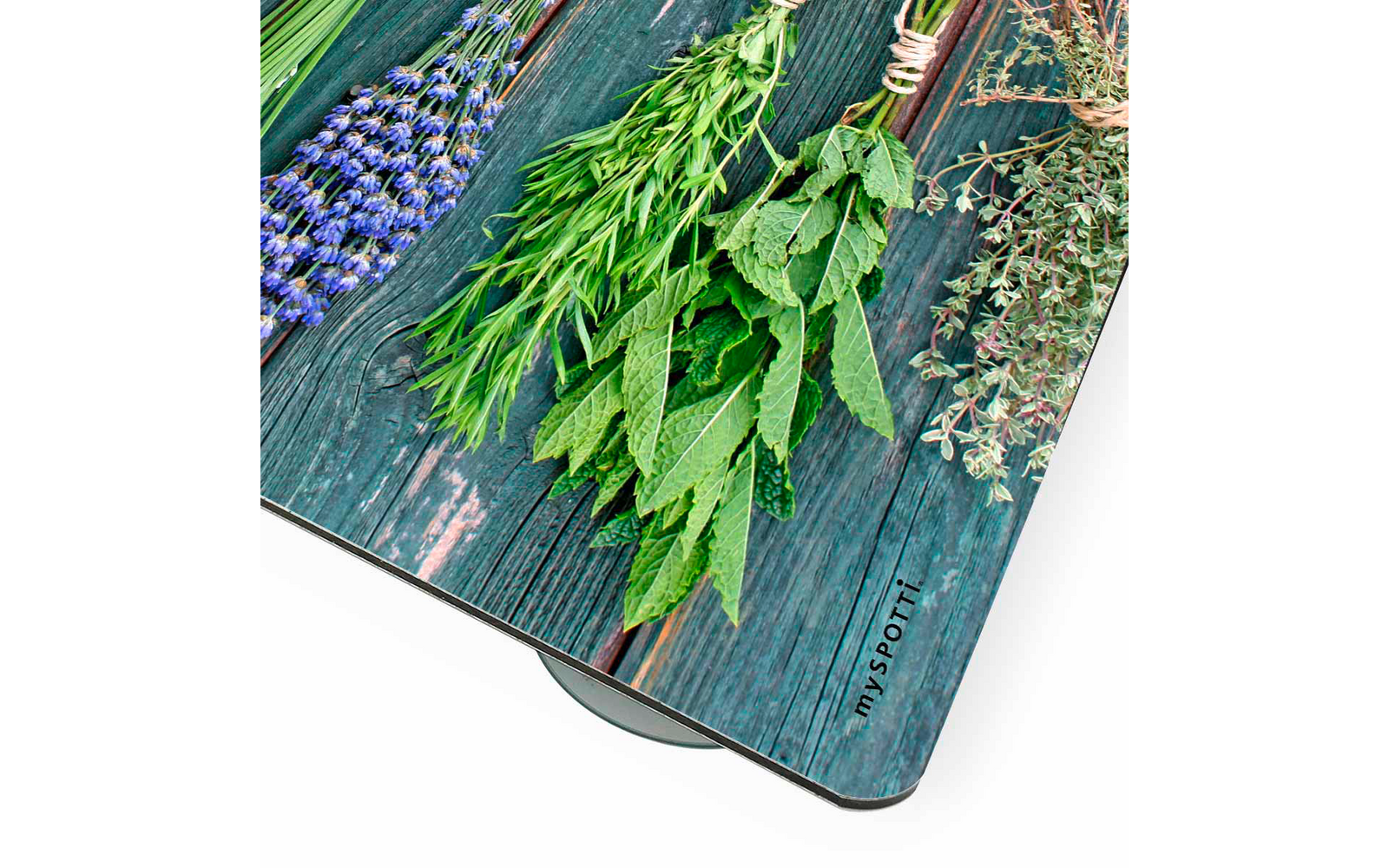 mySpotti Pop Spritzschutz für die Küche 59 x 42 cm Motiv Kräuter der Provence