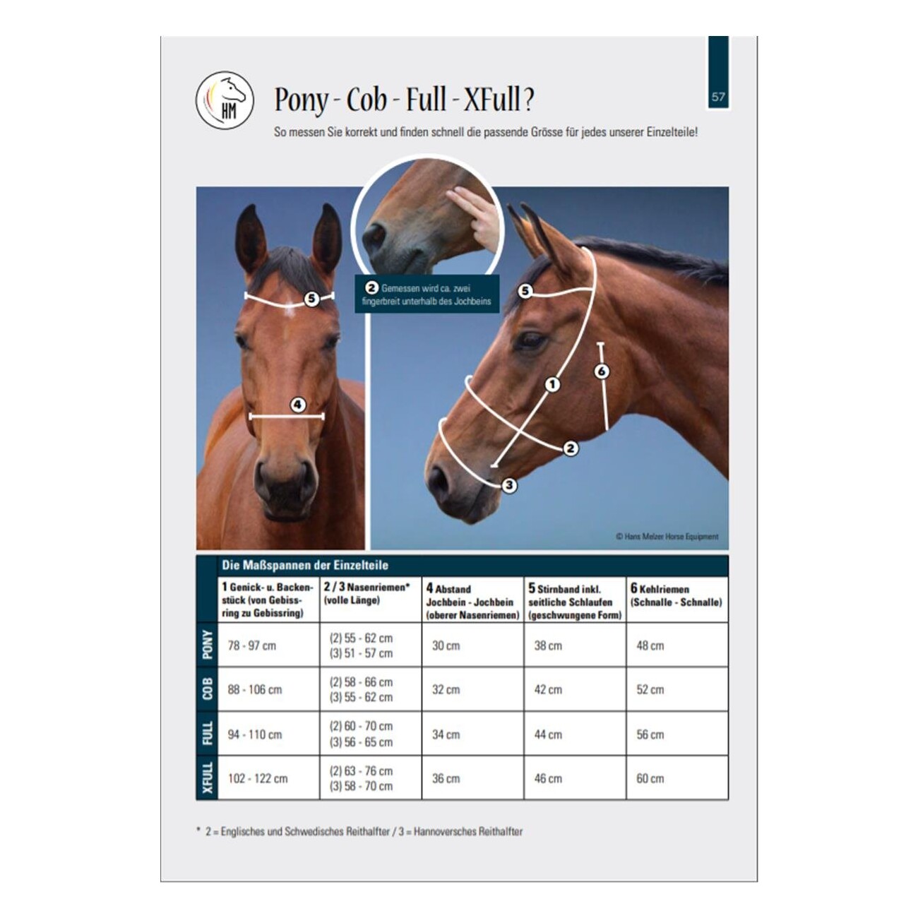 Hans Melzer Horse Equipment Hans Melzer Trense Calgary hannoversches Reithalfter braun/silber WB EXTRA (KB-Kaltblut)