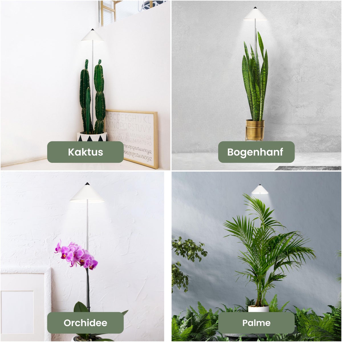 Parus by Venso SUNLITE XL LED Full Spectrum Plantenlamp Wit 25W Binnenplantenverlichting, met uitschuifbare telescopische paal, Parus plantenlamp voor grote en kleine kamerplanten