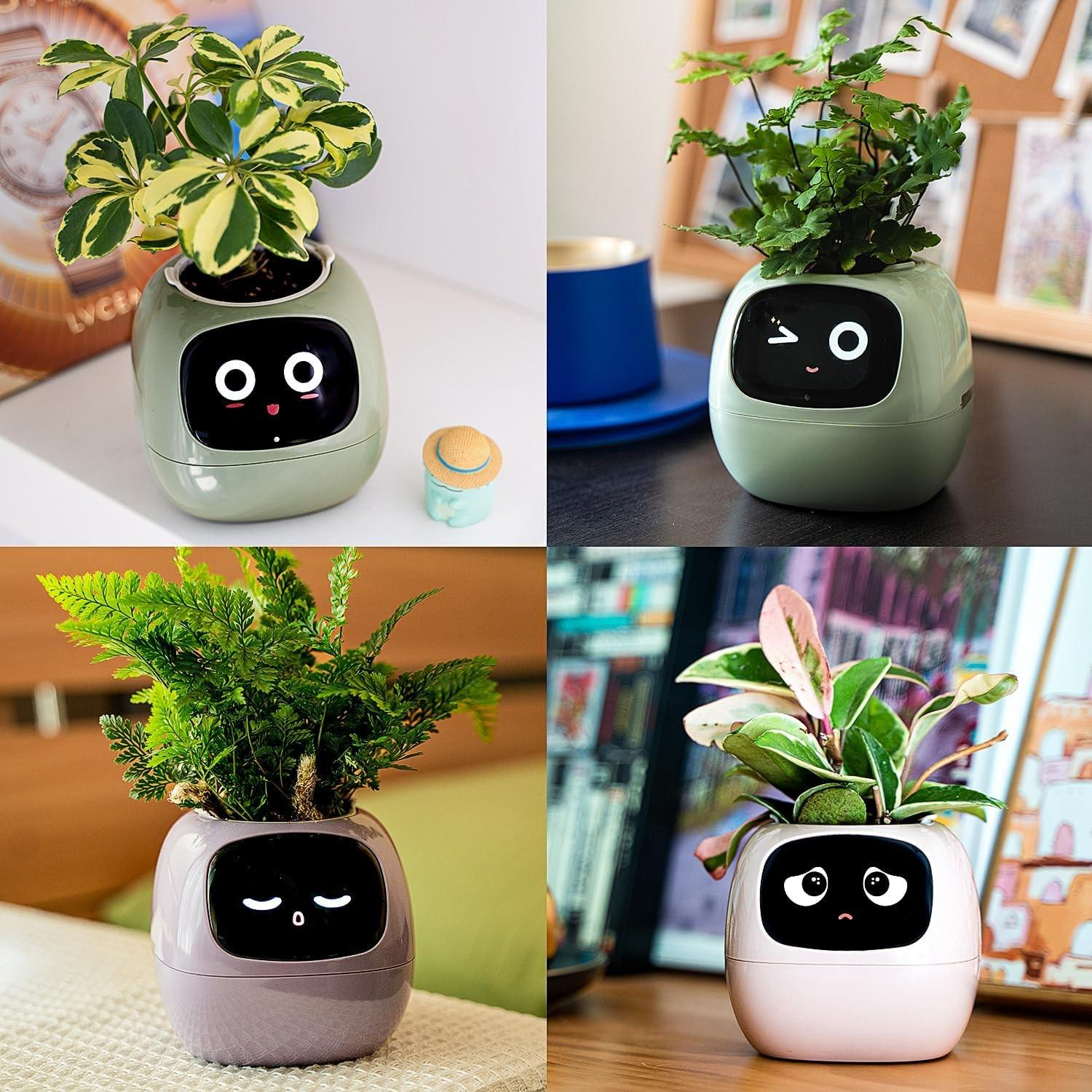 (9x9cm) Intelligenter Mini USB Blumentopf Home Deko Pflanzen Übertopf mit 40 Emotionen / LCD Display inkl. Kieselsteine (iOS/Android) - Ivy / Grün