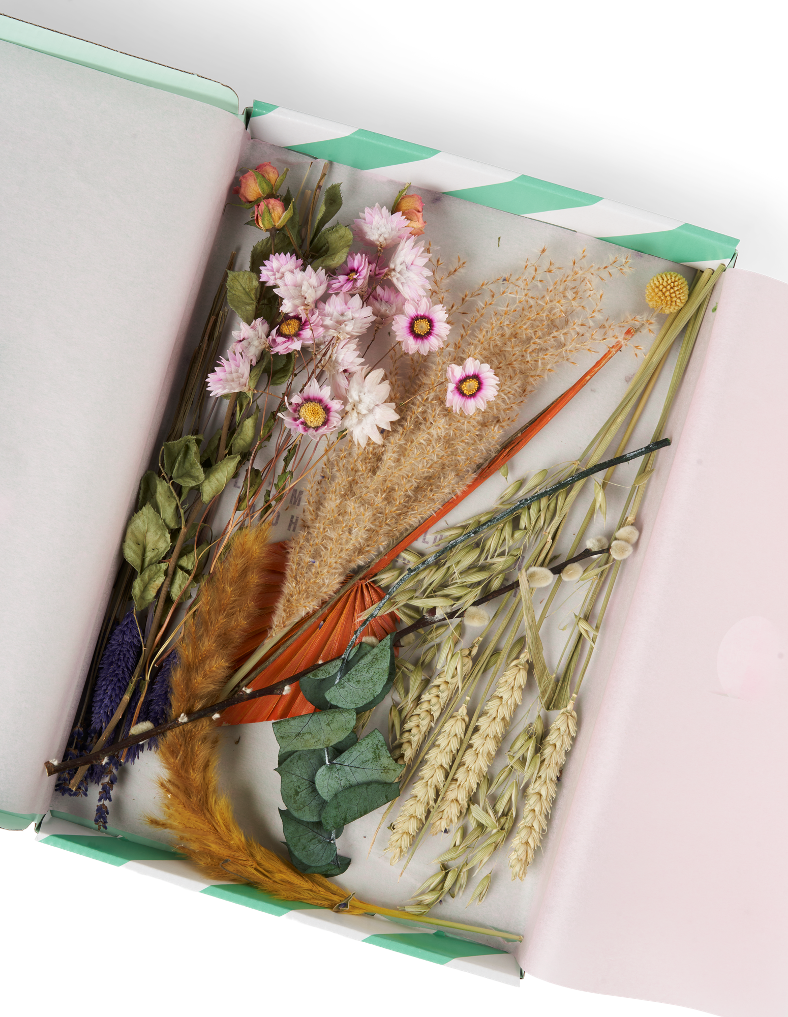 Tørrede blomster BloomPost Pastel | Tørrede blomster. 30 cm. | Multi | Bloompost
