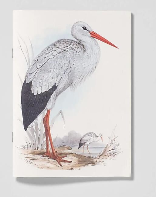 OISEAUX D EUROPE CARNET DE NOTES