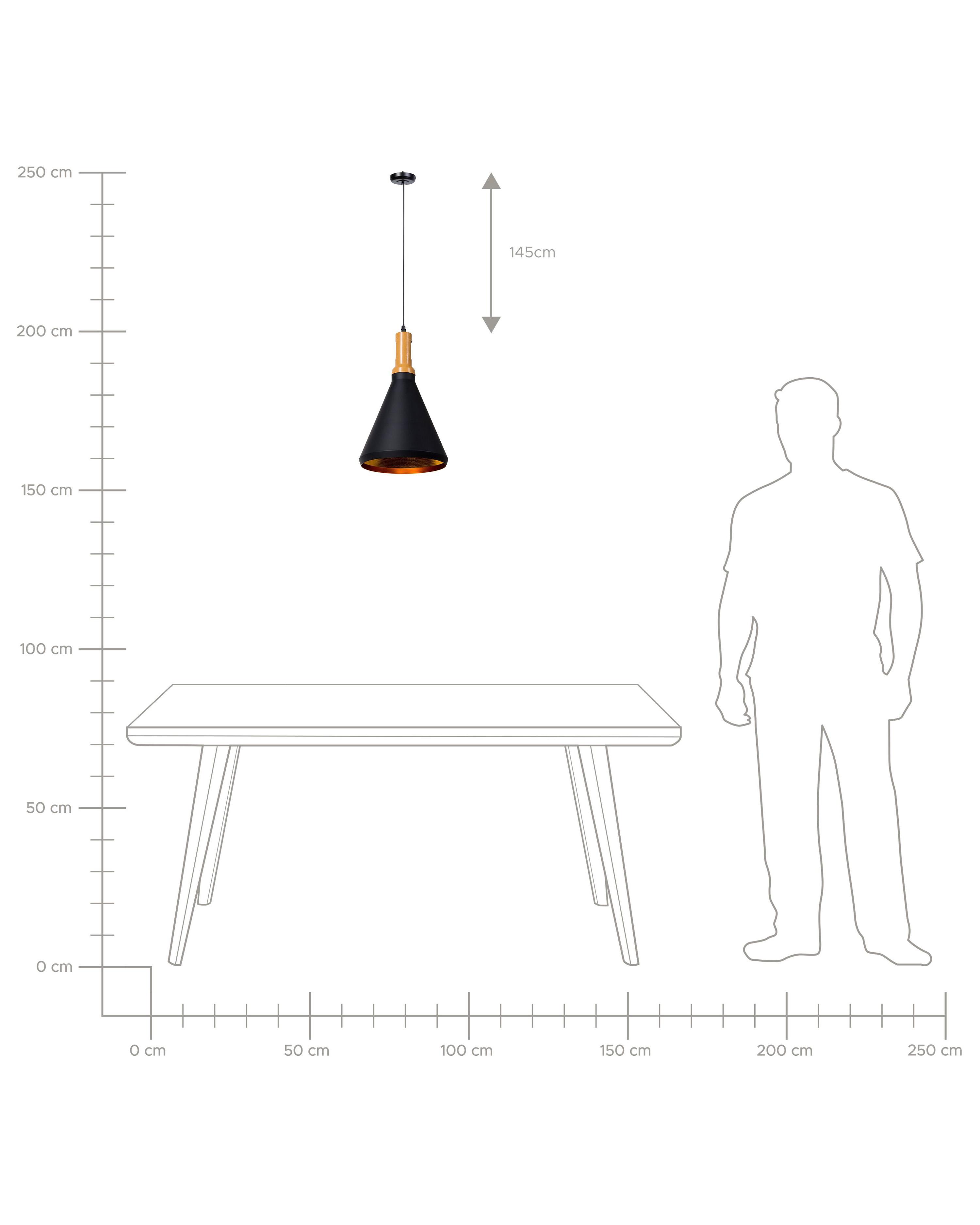 Hanglamp MACKENZIE Metaal Zwart