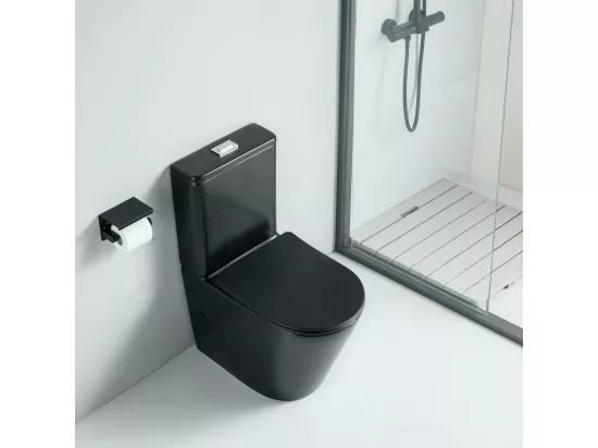 Toilette WC à poser CIPOLI en céramique noir mat