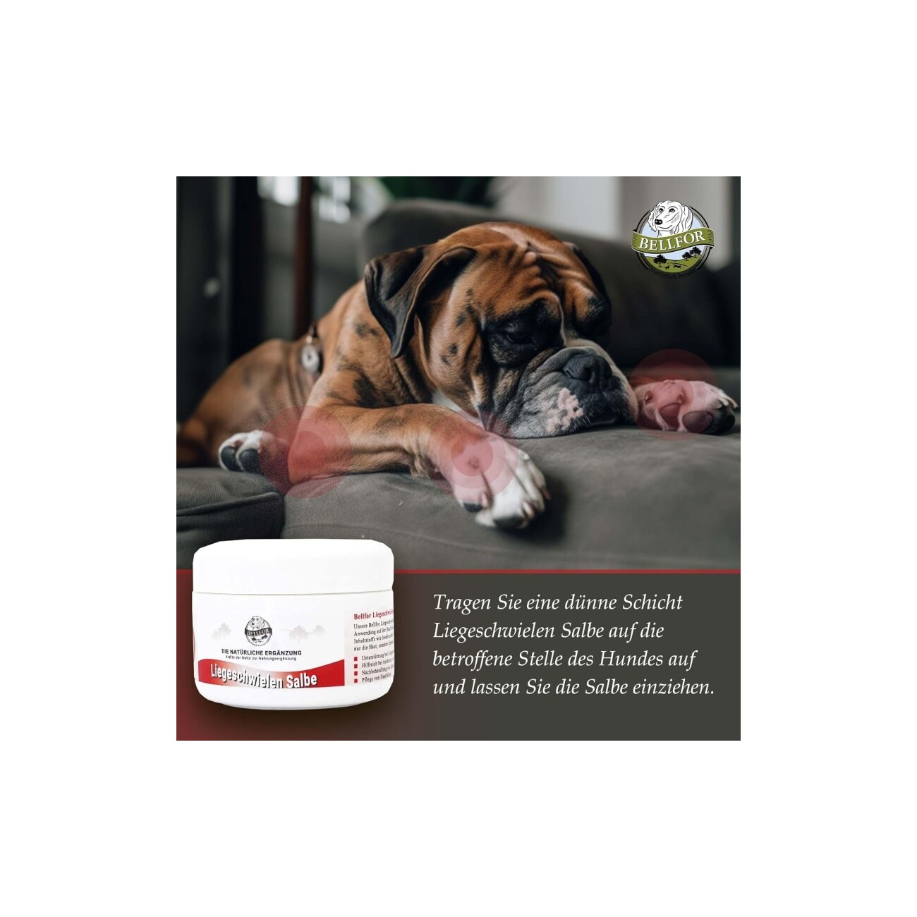 Bellfor Liegeschwielen Salbe natürlich für Hunde - 30 ml