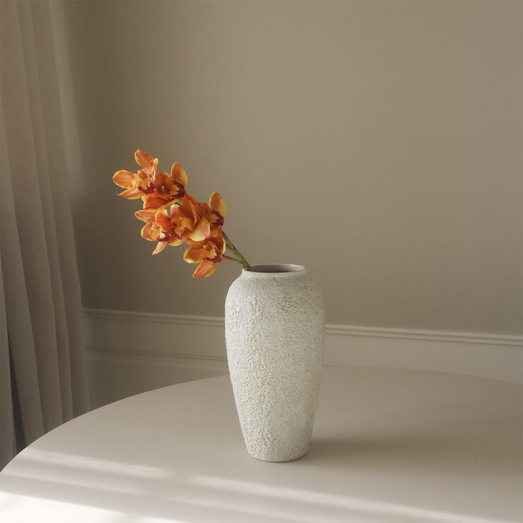 Botané Cymbidium Orchid Flower Orange