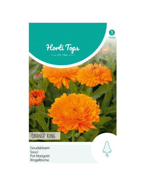 Hortitops Calendula - Goudsbloem Orange King - Bloemenzaden - 2 g