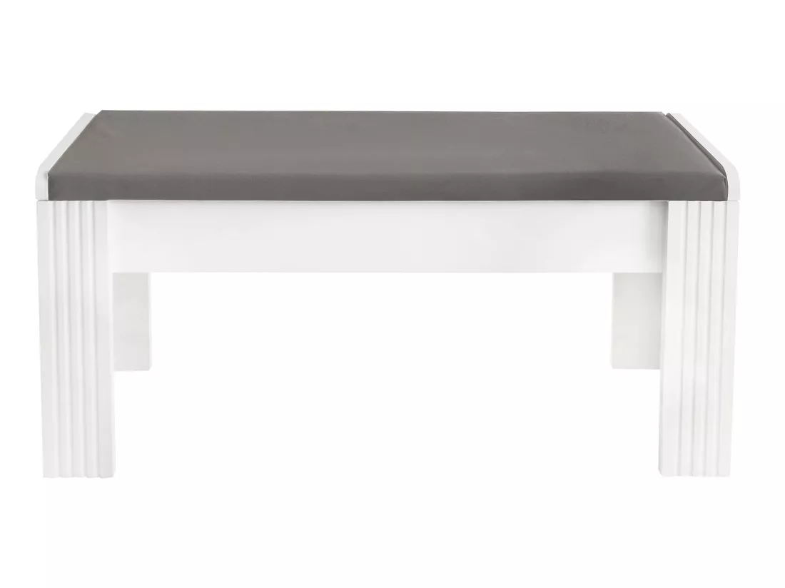 Lot de 2 Bancs rembourrés avec coussin en similicuir - Gris