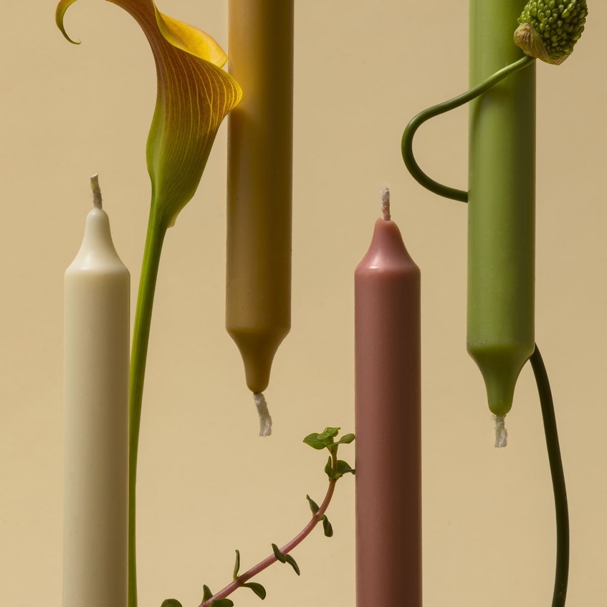 CARRIÈRE FRÈRES Fruits Chandelle Parfumée