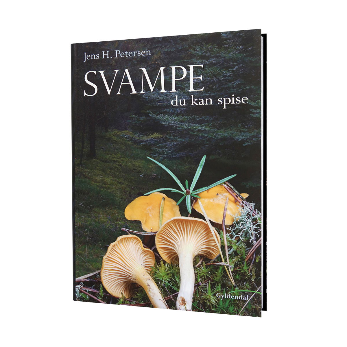 Svampe - du kan spise - Spejder Sport