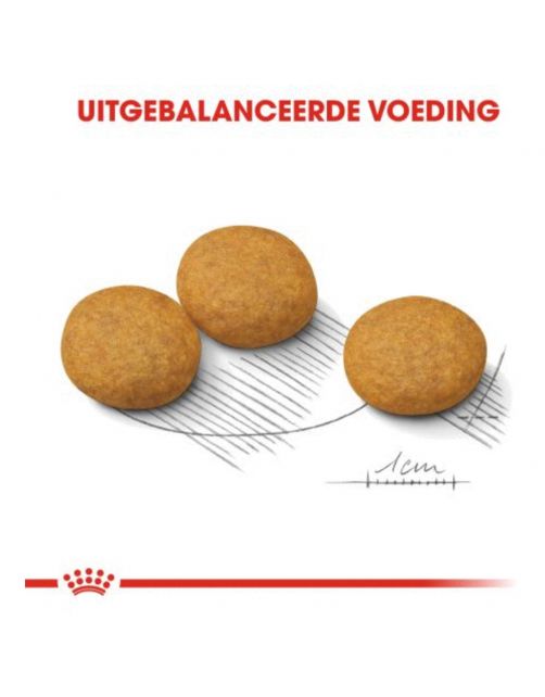 Royal Canin Dermacomfort Medium - Hondenvoer