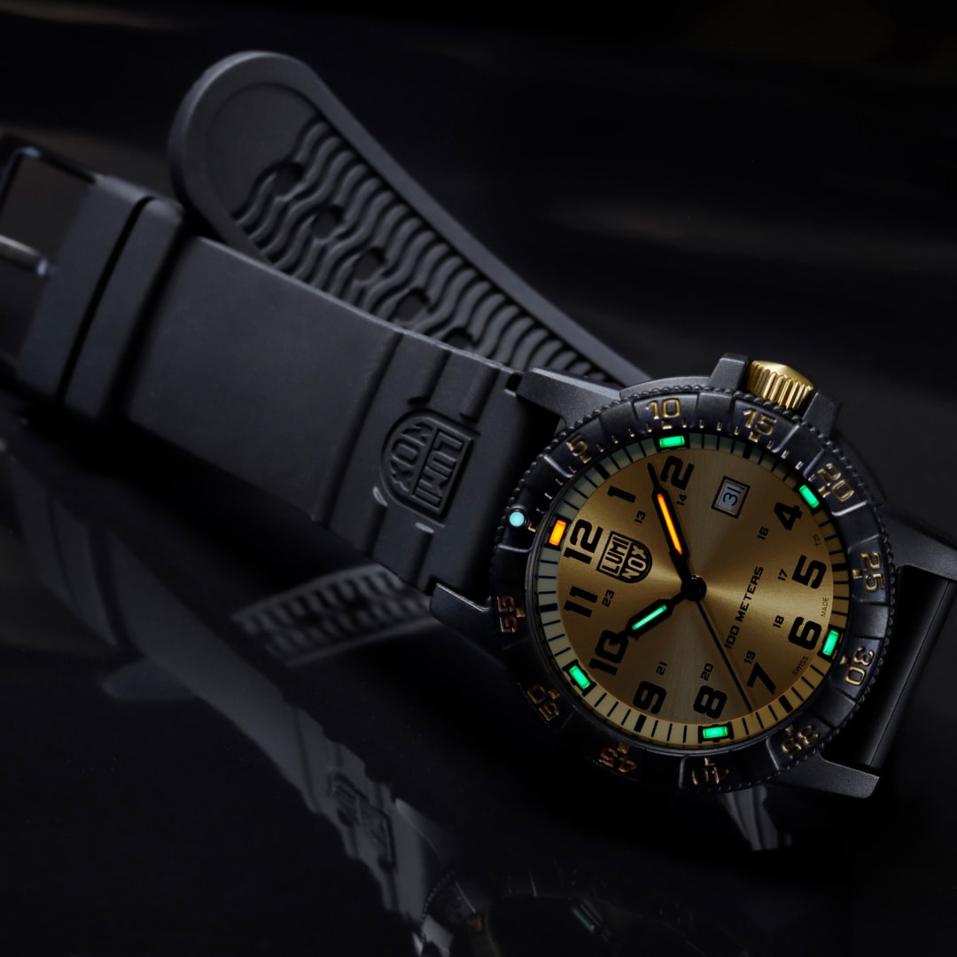 Luminox Leatherback Sea Turtle Giant 0320 Series