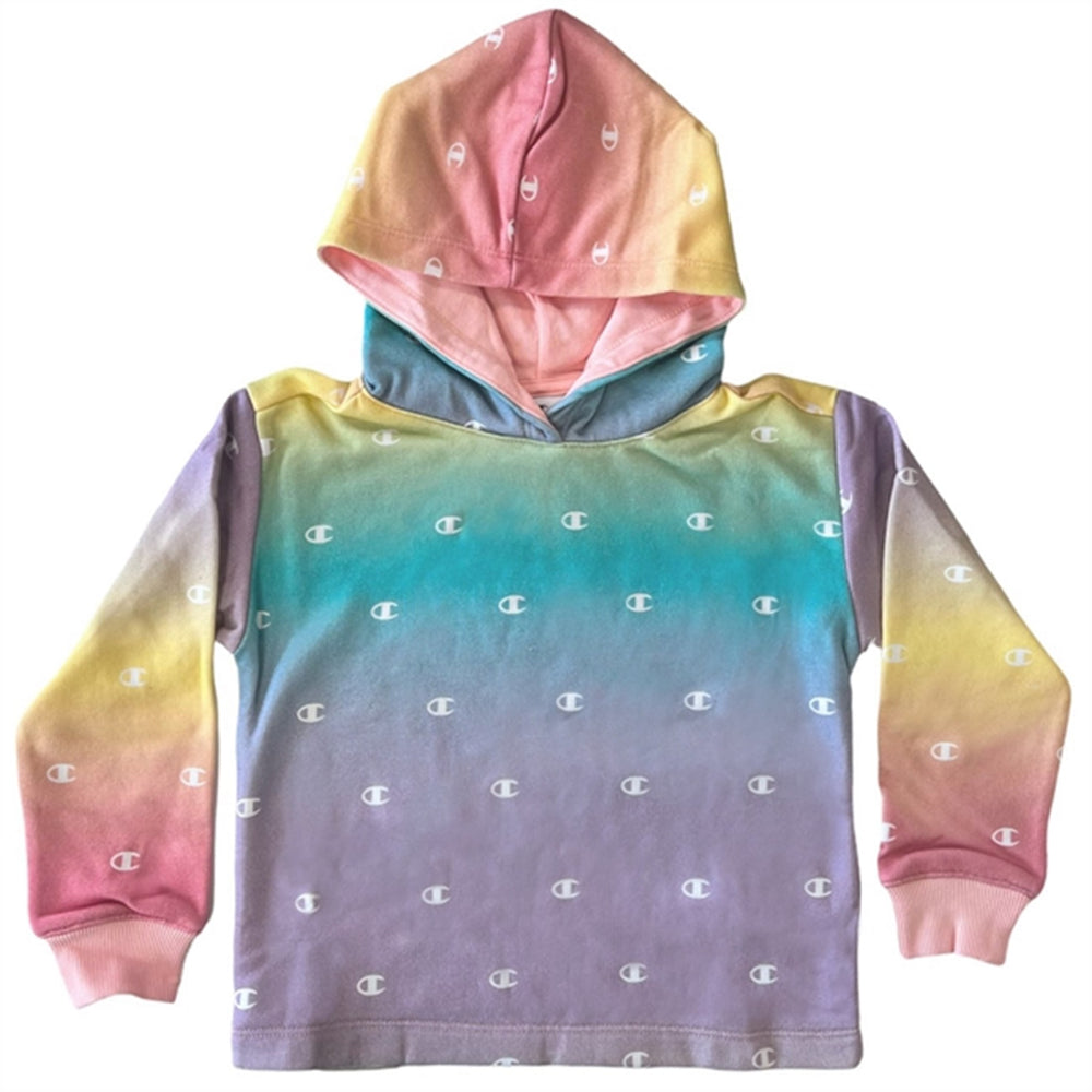 Køb Champion White/Allover Hooded Sweatshirt