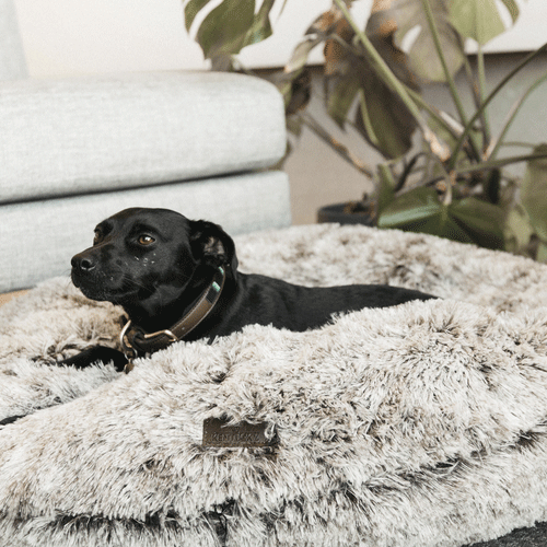 Kentucky Dogwear Comfort Donut Hondenmand