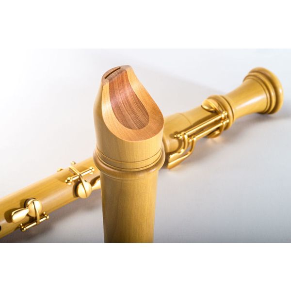 Mollenhauer 5432C Denner Comfort Tenor