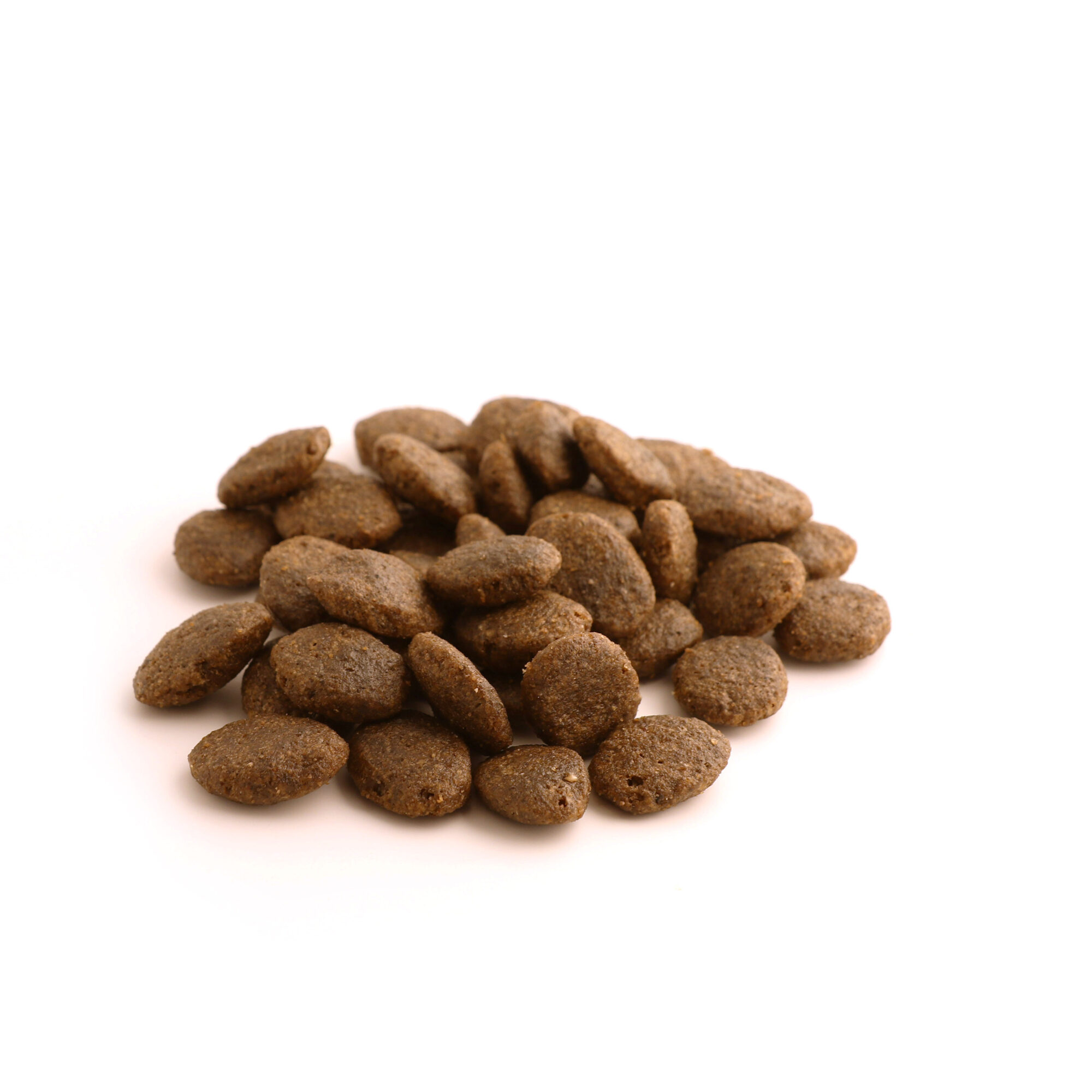Fish4Dogs Finest Puppy Zalm met Zoete Aardappel