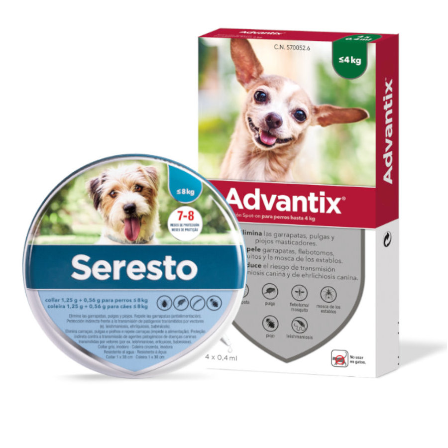 Coleira antipulgas e carrapatos Seresto para cães com menos de 8 kg e pipetas Advantix para cães de 0 a 4 kg.