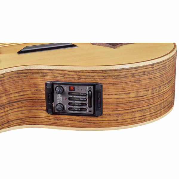 Warwick Alien 6 NT