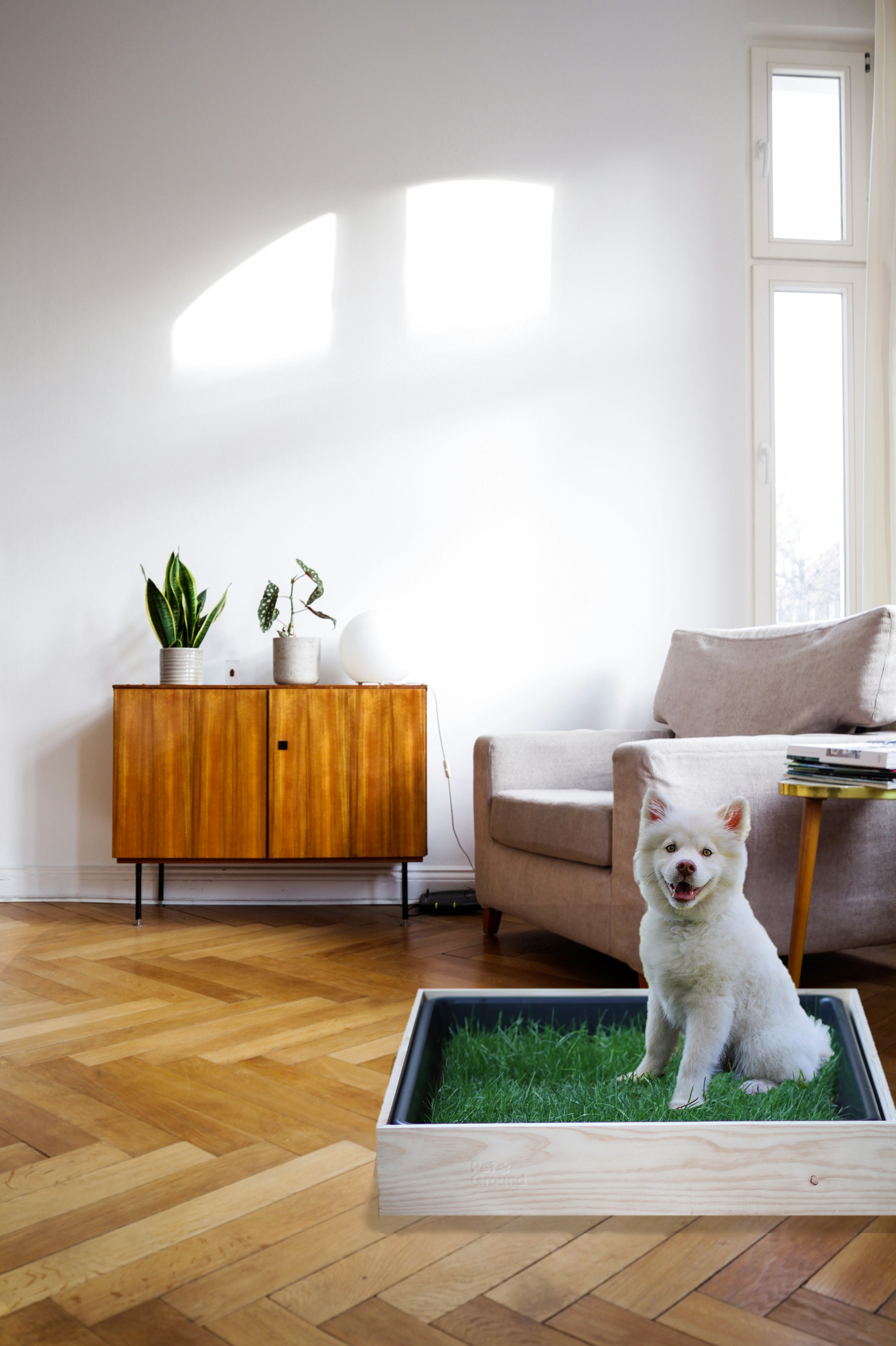 Cama para cães Petground, caixa de madeira, acessório para móveis