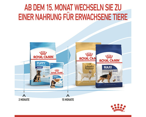 ROYAL CANIN Maxi Puppy droogvoer voor puppy's van grote rassen, 15 kg