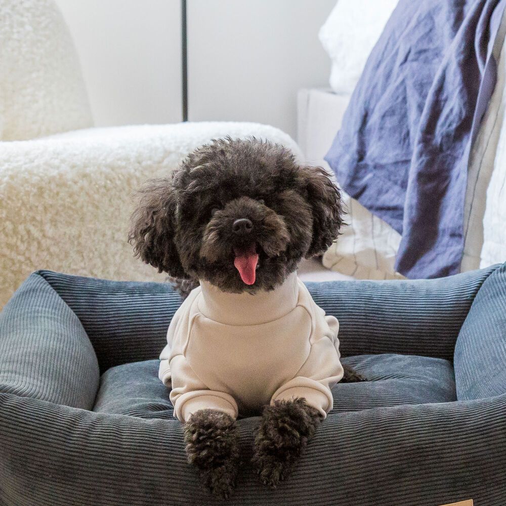 FuzzYard LIFE Soft Touch Hunde Pyjama