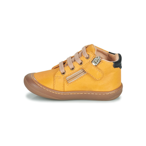 GBB - APODAMI - Jaune