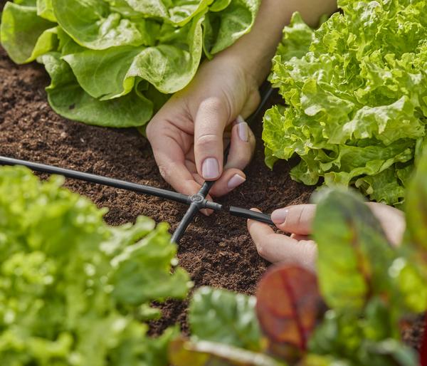 GARDENA Micro-Drip-System Kreuzstück, 3/16