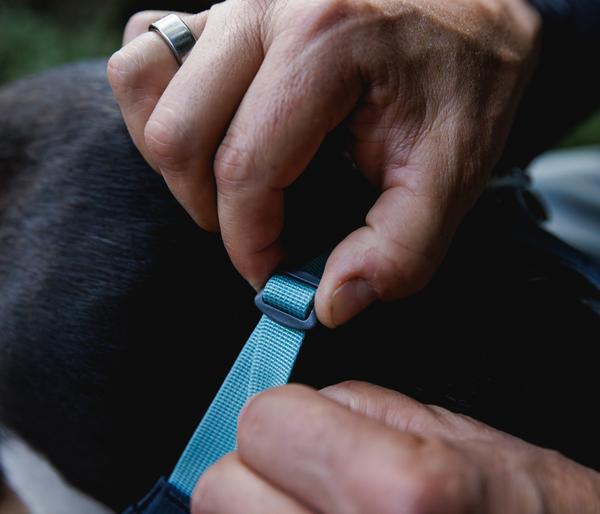 RUFFWEAR® Hundegeschirr Hi & Light™ Harness