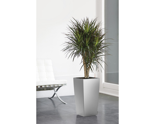 Lechuza Cubico 30 plantenbak complete set H 56 cm zilver incl. zelfbewateringssysteem, planteninzet, substraat en waterniveau-indicator