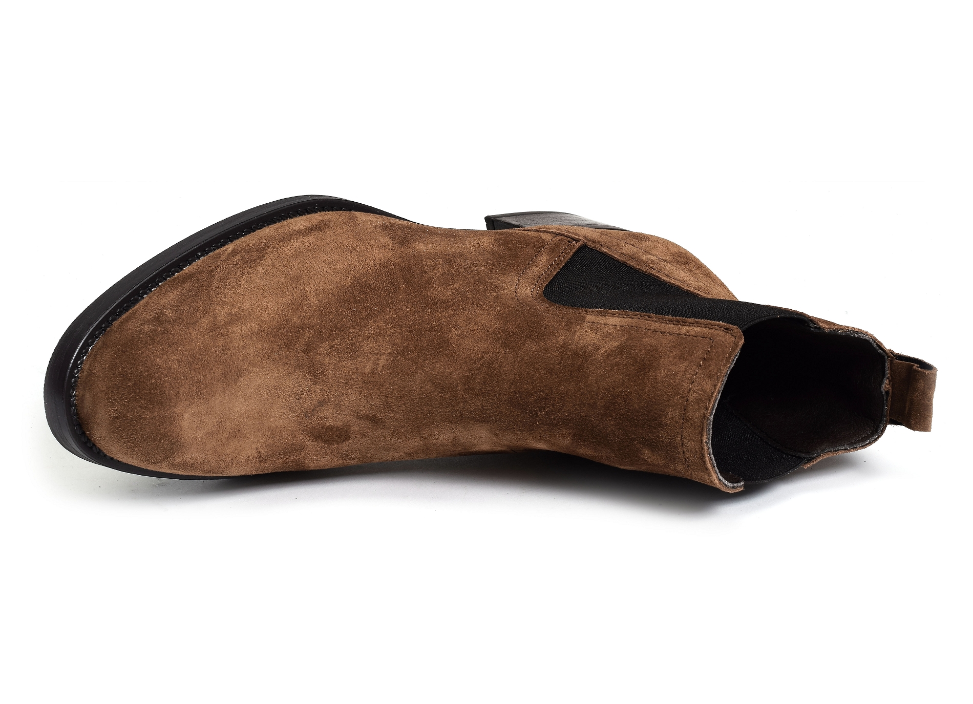 Alain2 2637 camel