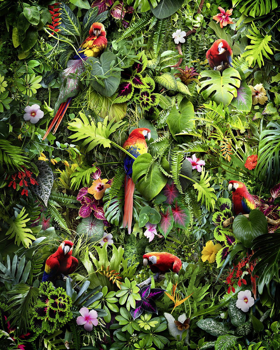 Lush Life II by Jesper Krijgsman - Limited Edition. Edition of: 150. Signed.